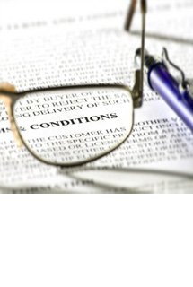 Termes i Condicions del lloc web