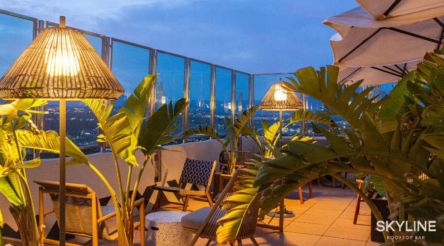 Rooftop Flamingo Oasis