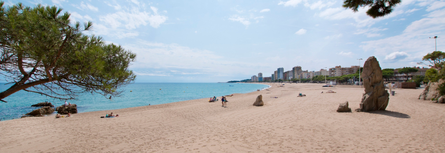 Descompte 15% Hotel Monterrey - Hotel a Platja d'Aro