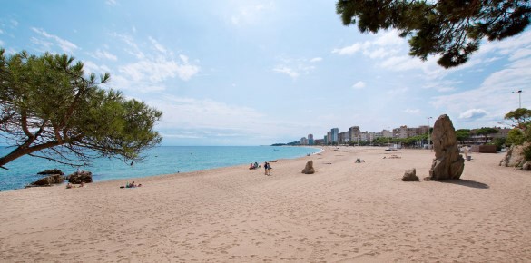 Descompte 10% Hotel Monterrey - Hotel a Platja d'Aro
